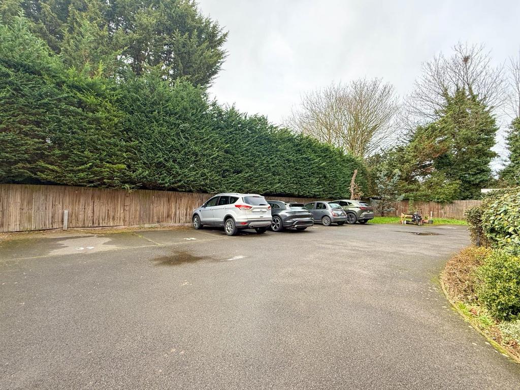 20260227 113338014 0.0.jpg