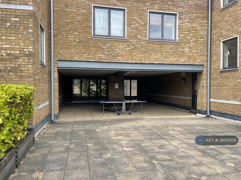 Shared Patio