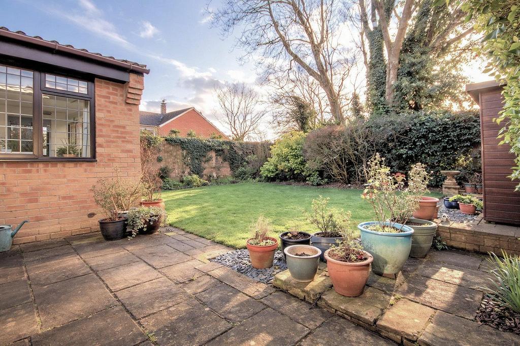 View of Rear Garden