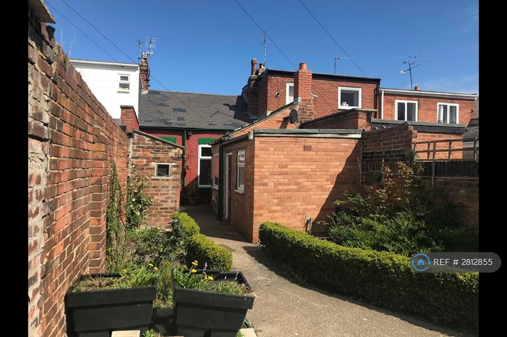 Garden / Yard
