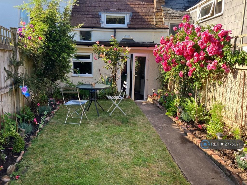 Back Garden