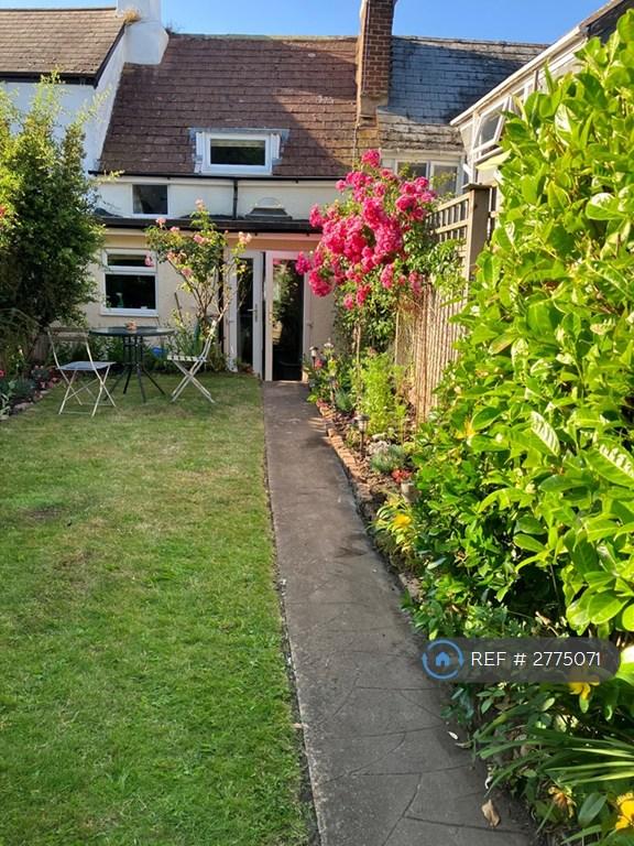 Back Garden