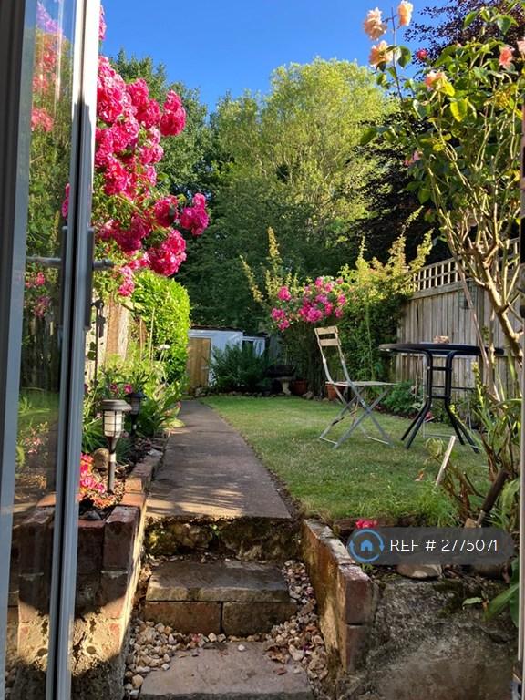 Back Garden