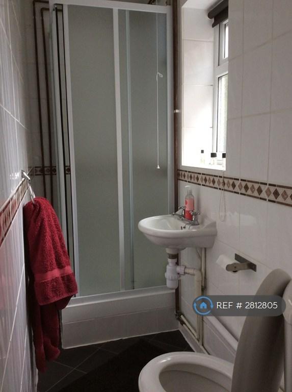 Downstairs Shower