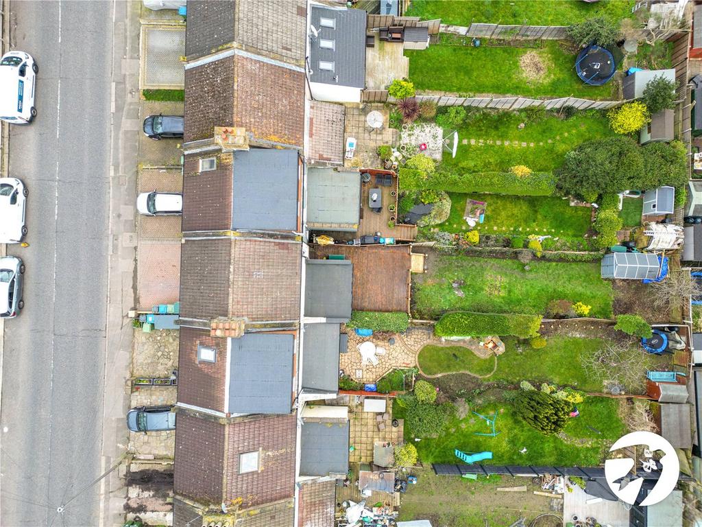 Birds Eye