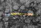 Additional image 25 of Spring Hill, Adel, Leeds, West Yorkshire, LS16
