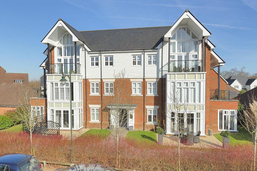 Rear Elevation