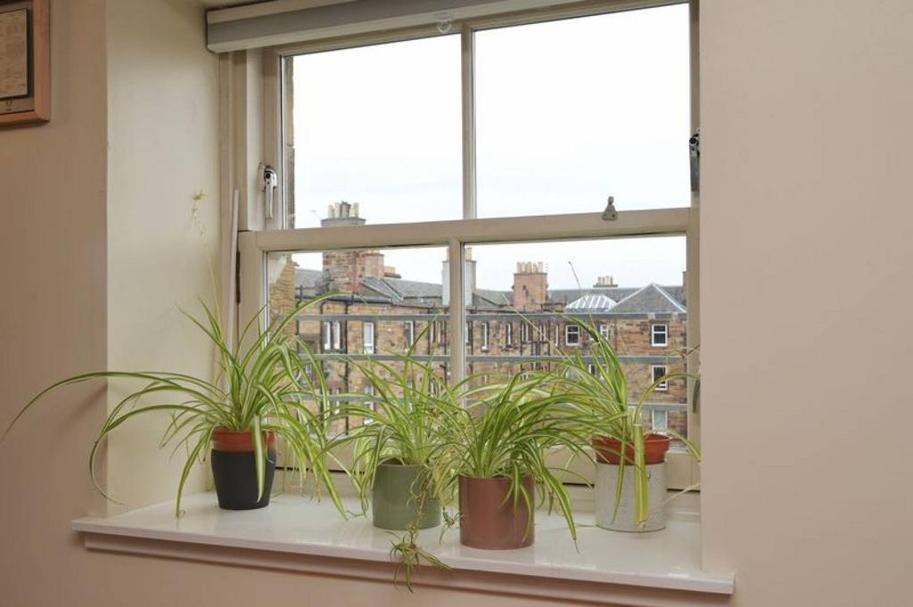 House in Edinburgh, Moat, Hutchison/Chesser - View 4