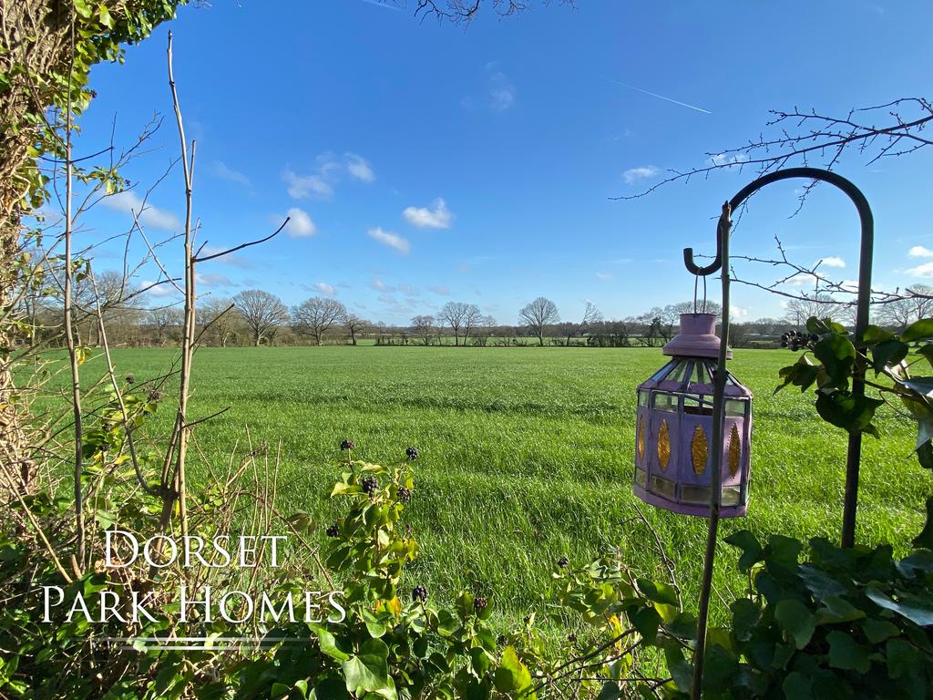 Field View