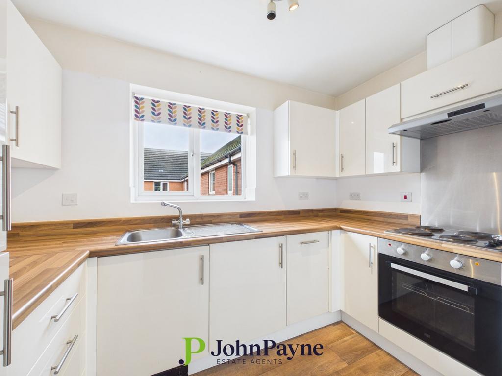 Modern Kitchen