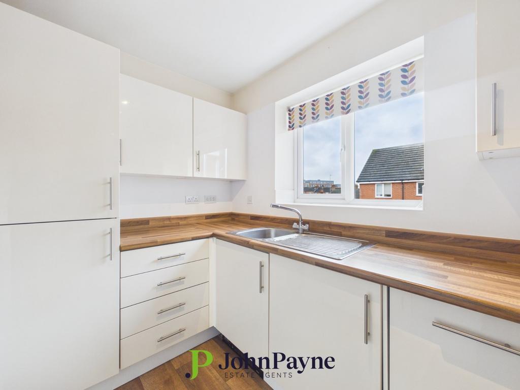 Modern Kitchen