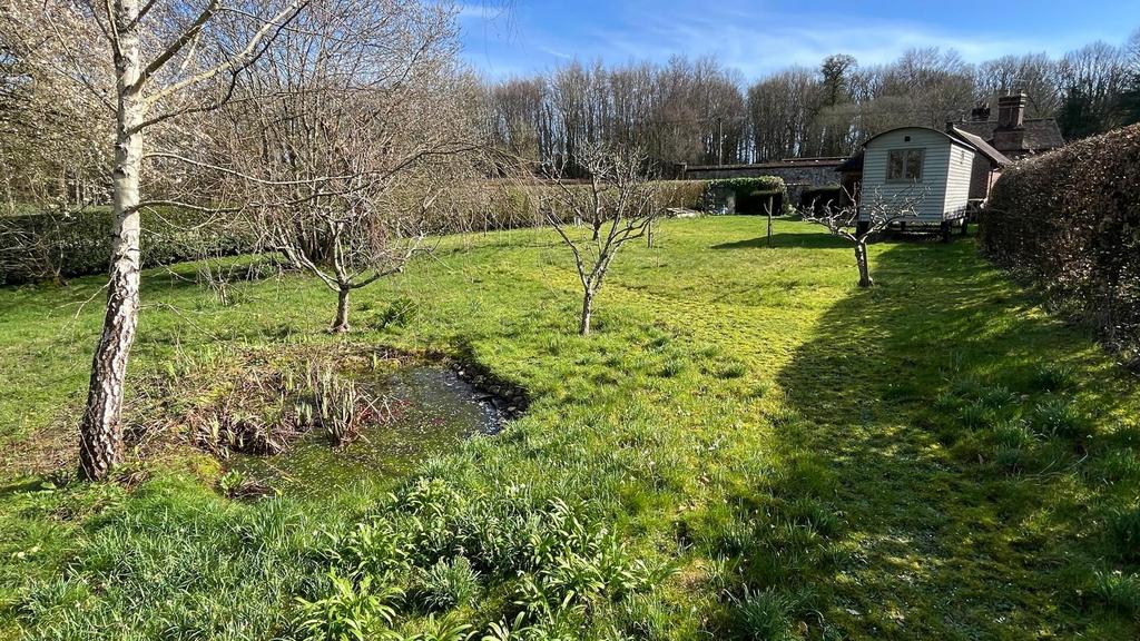 Garden 3.JPG