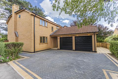 Penny Hedge, Barton On Sea, Hampshire. BH25 7TA