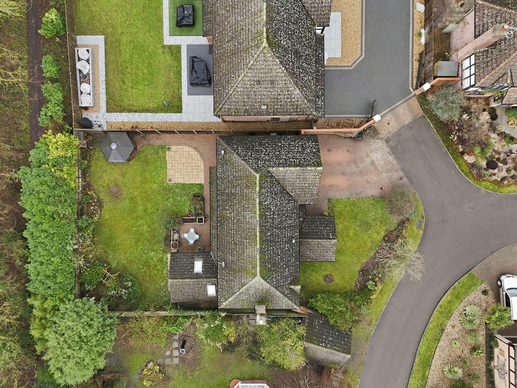 003 dji 20260121130142 0729 d