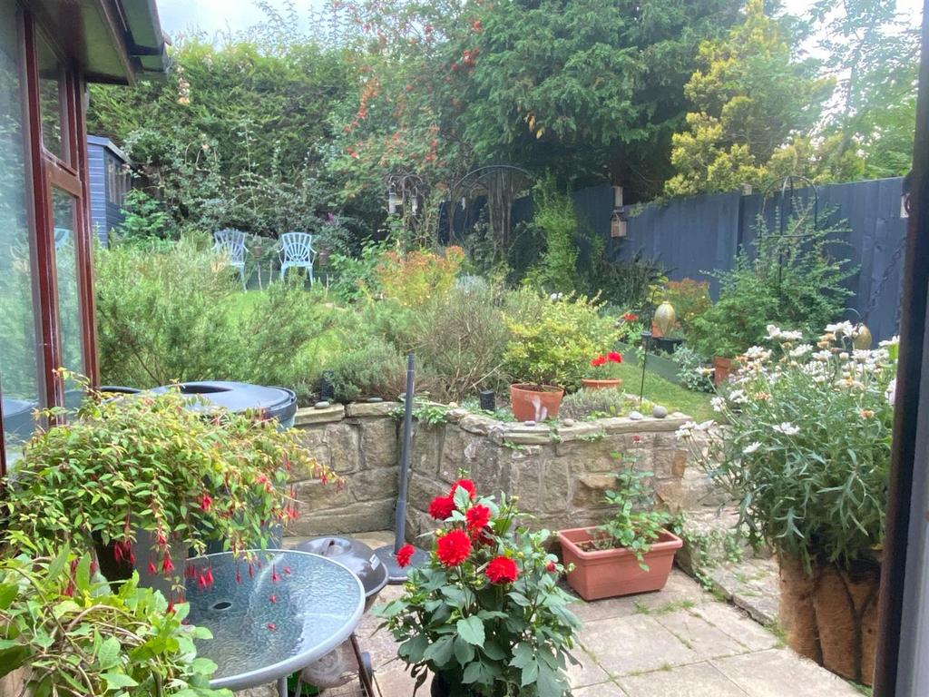 Garden in Summer