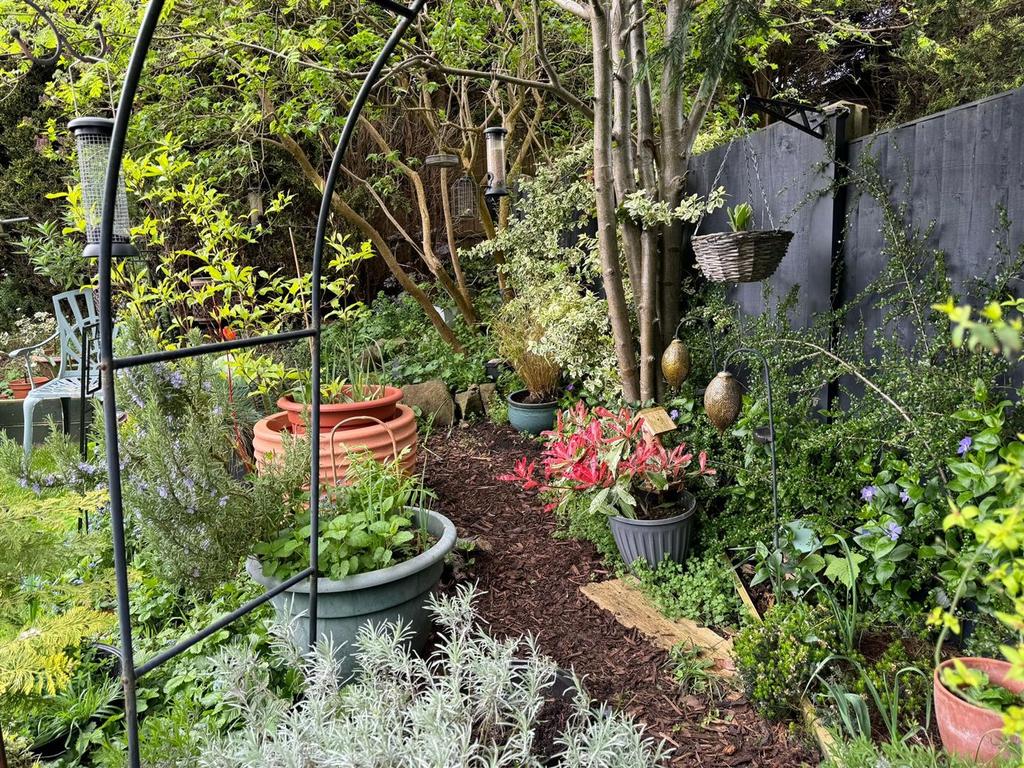 Garden in Summer
