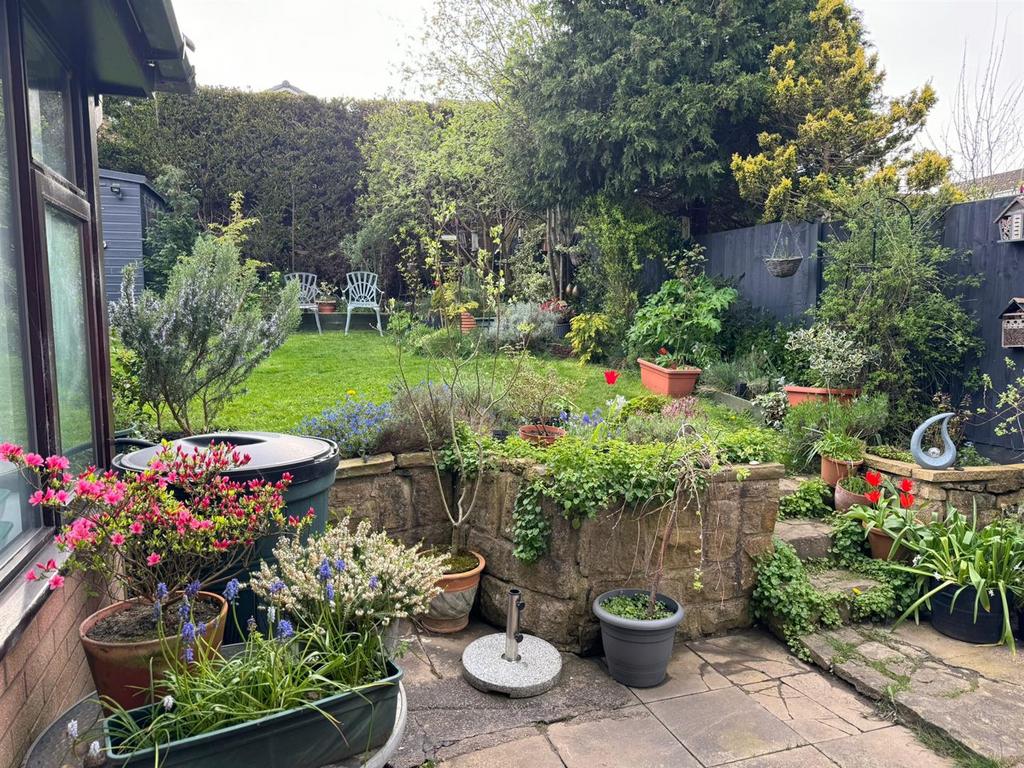 Garden in Summer