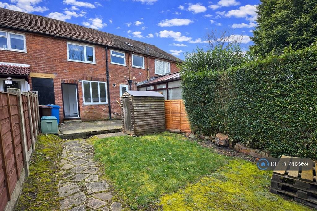 Back Garden