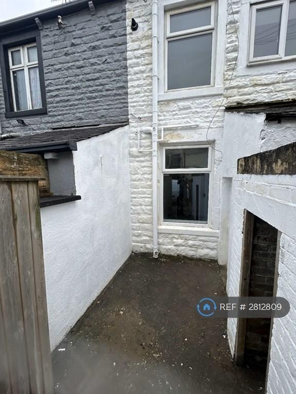 Rear Yard