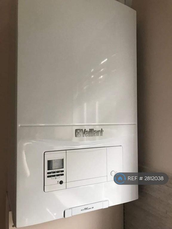 New Boiler