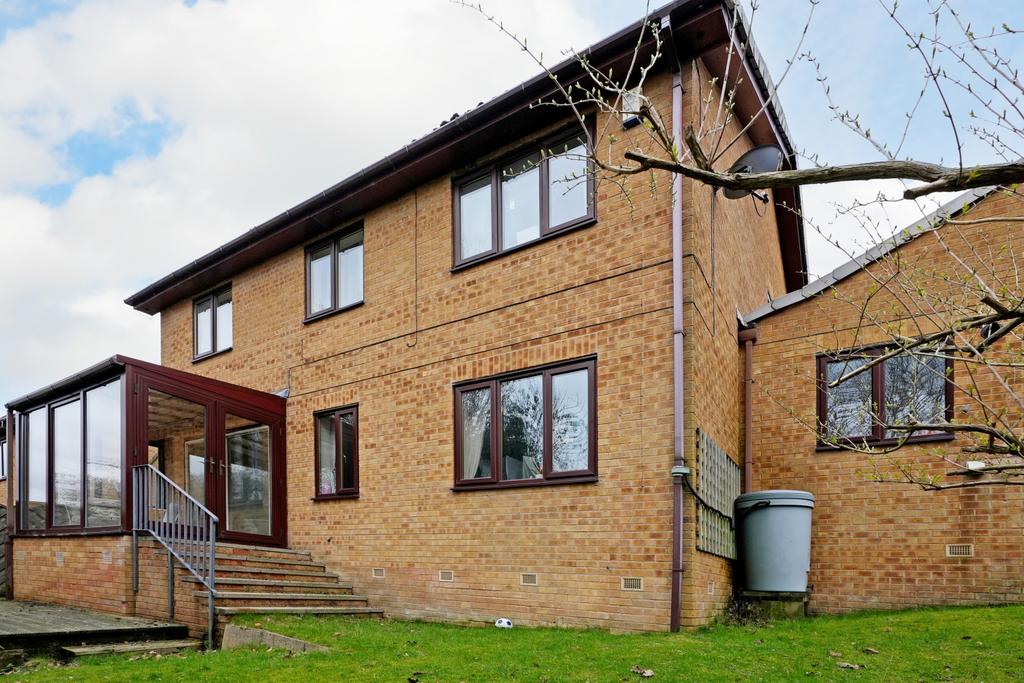 Rear Elevation
