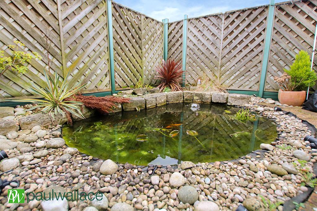 Pond