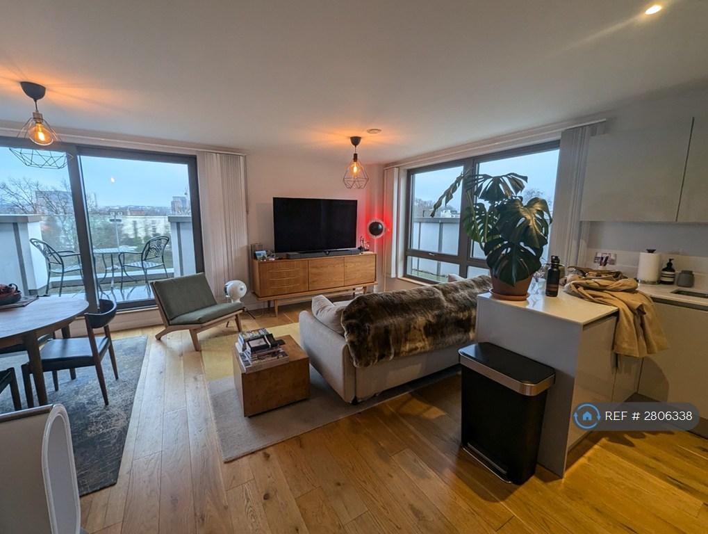 Living/Kitchen Area