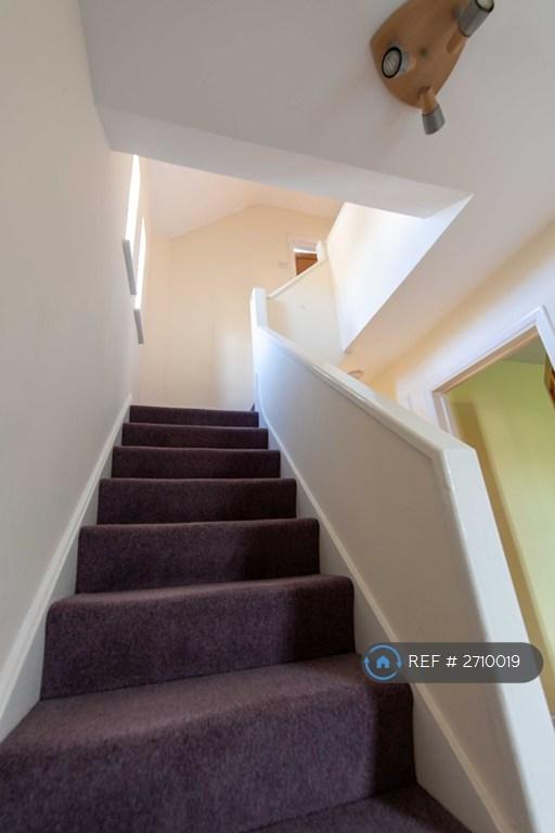Stairs, Recent Carpet