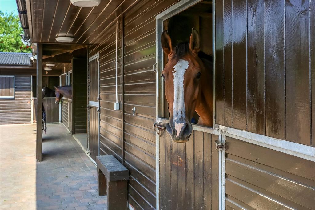 Stabling