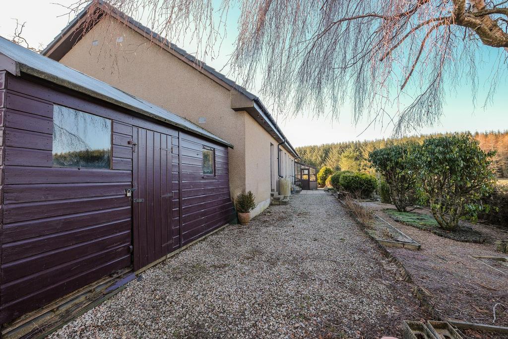 Rear house and shed