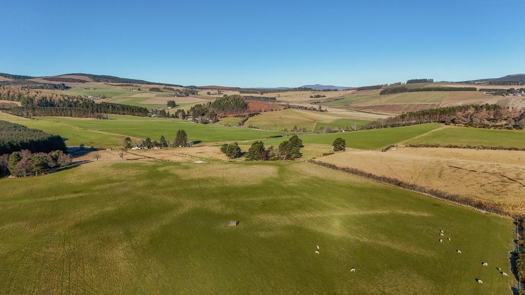 View from the rear of the property.