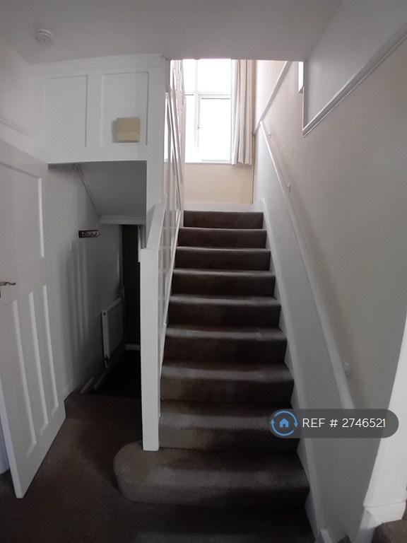 Stairs And Understairs Storage