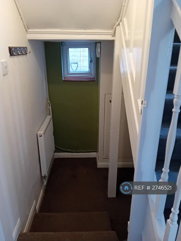 Understairs Cupboard