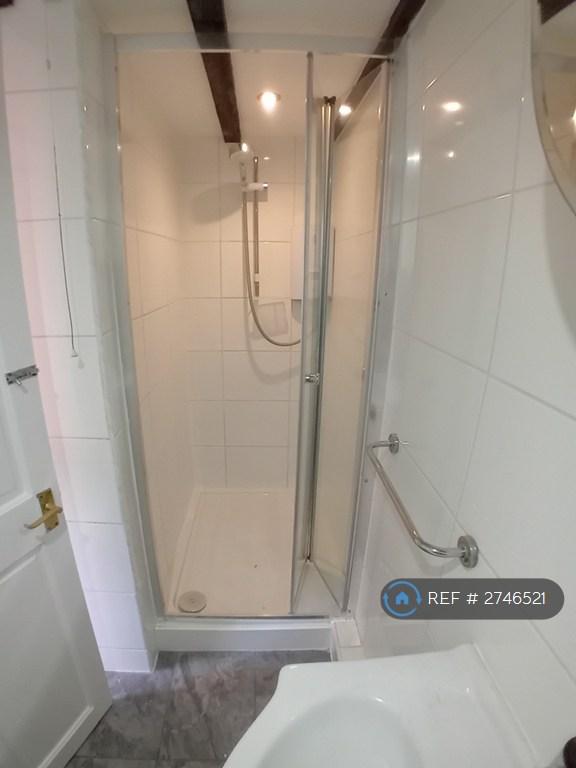 Downstairs Shower