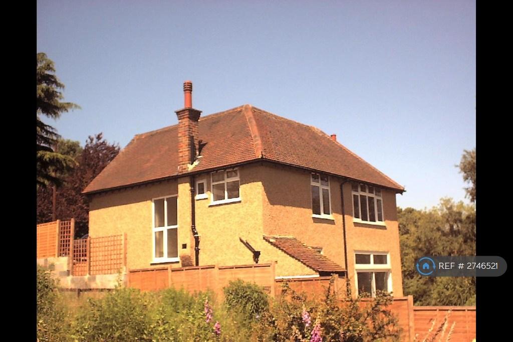 Rear View