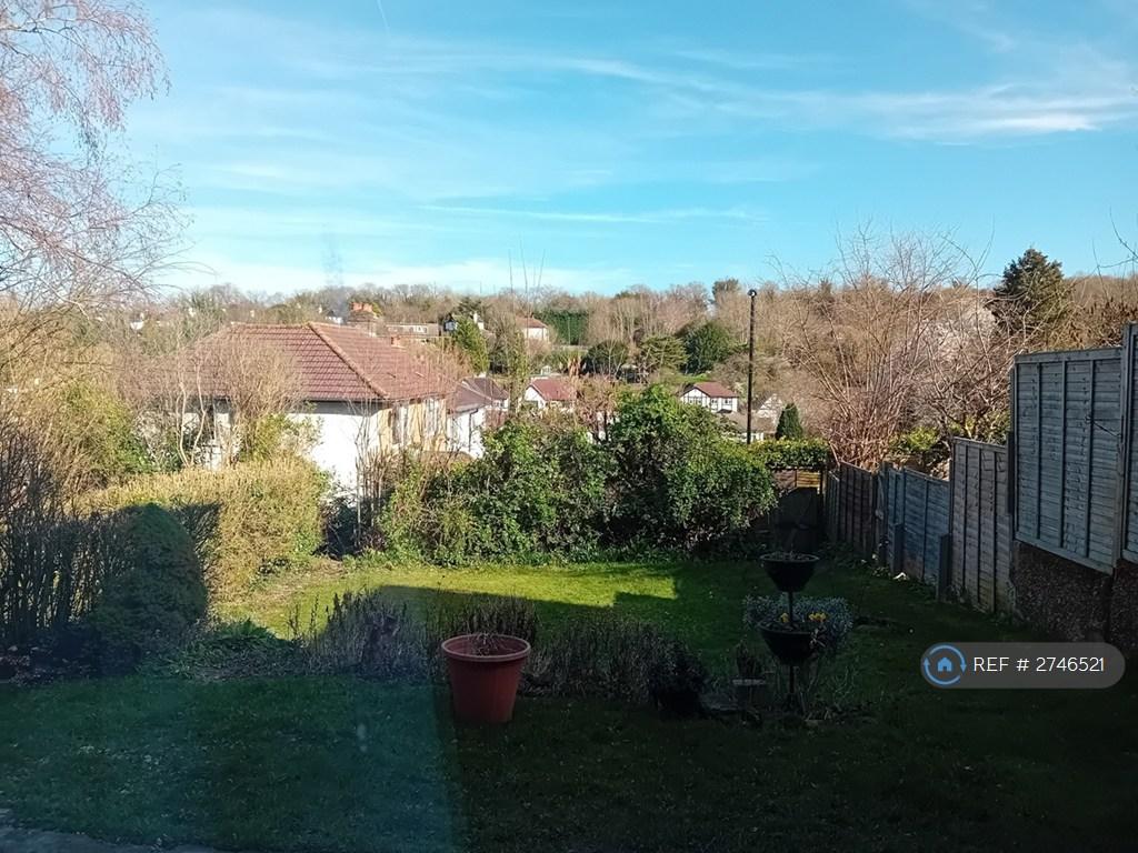 Rear Garden Views