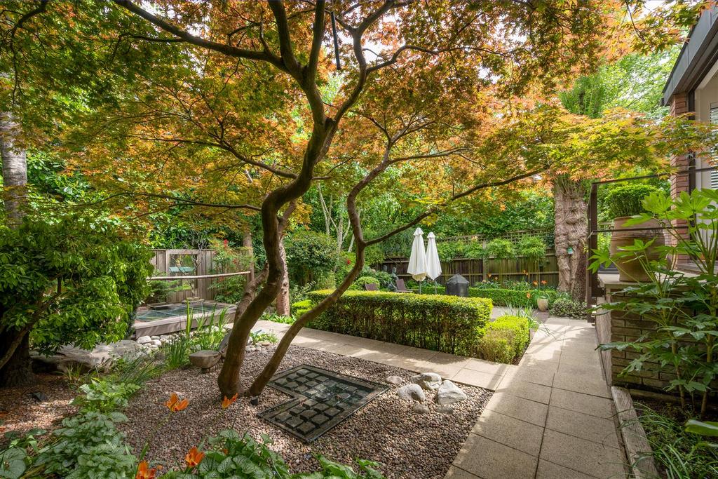 Garden view, garden
