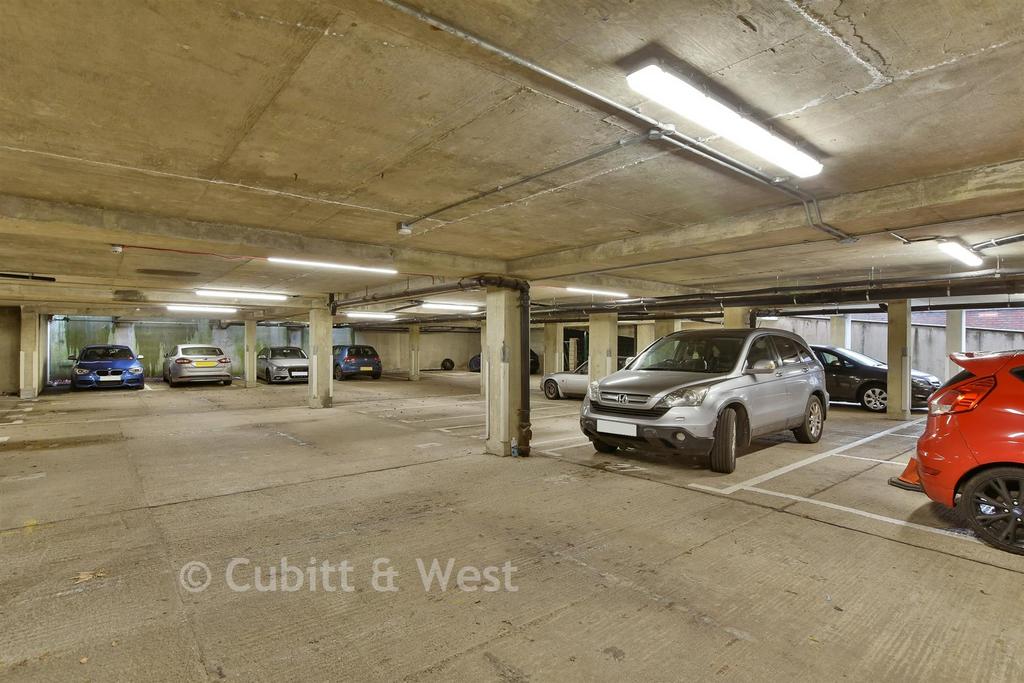 Driveway/Parking