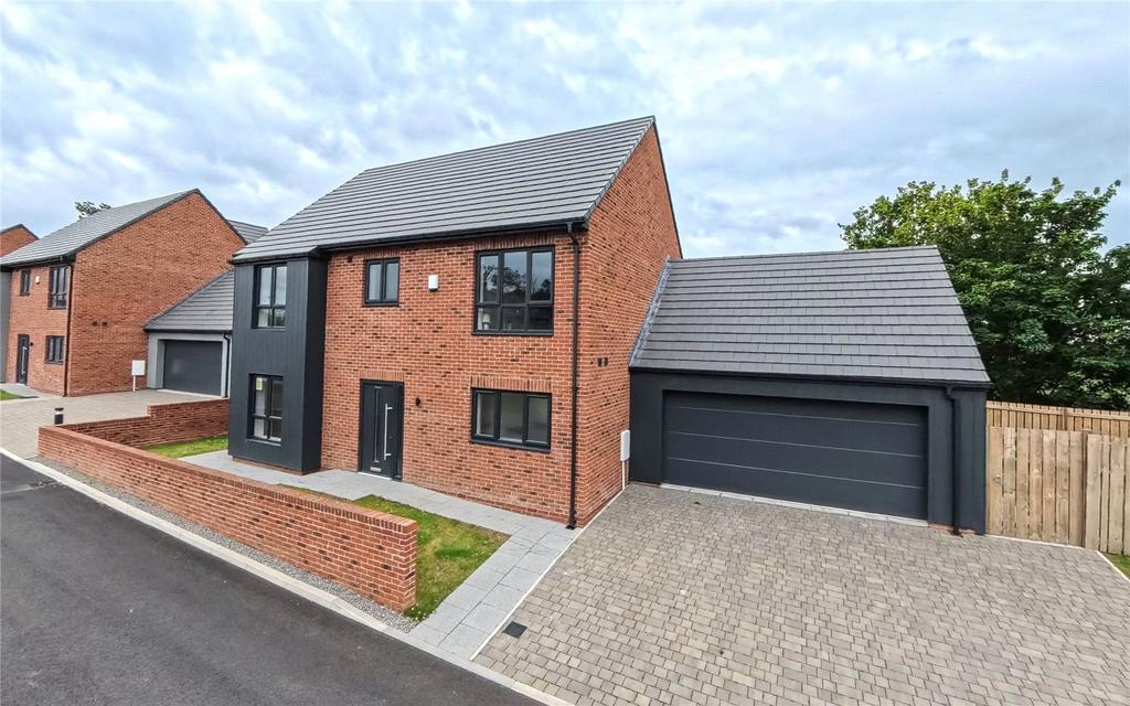 Picture No. 33