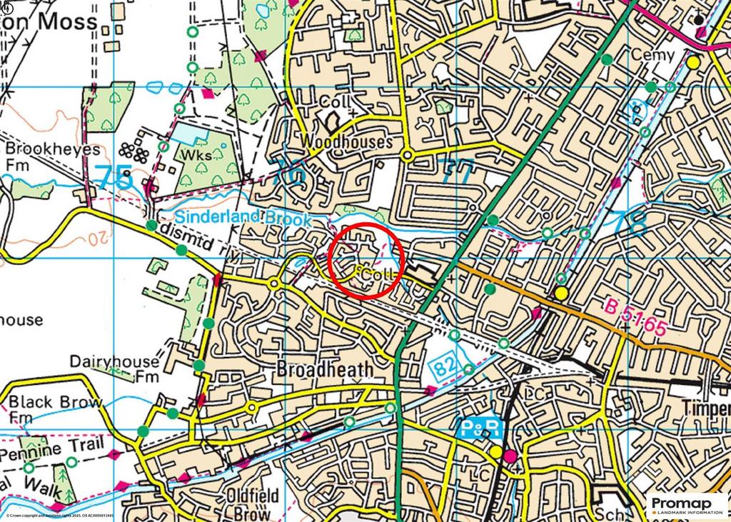 Town Plan