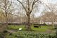Additional image 12 of Portman Square, London, W1H