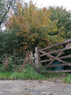 undefined, Moss Lane, Holme, Carnforth, Cumbria, LA6 1RH