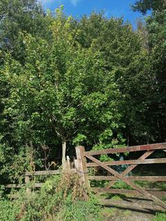 undefined, Moss Lane, Holme, Carnforth, Cumbria, LA6 1RH