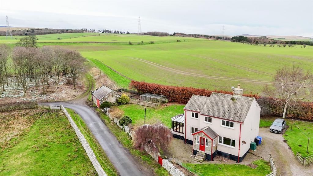 DJI 20260221113543 0195 D.jpg