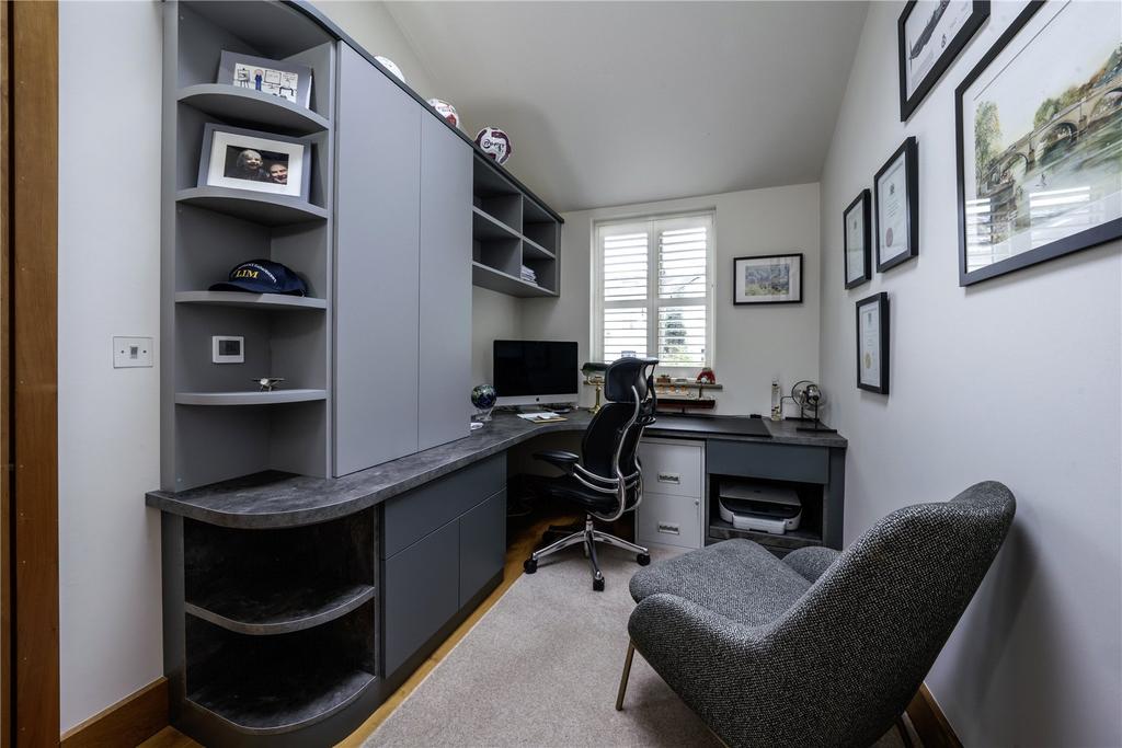 Study Area