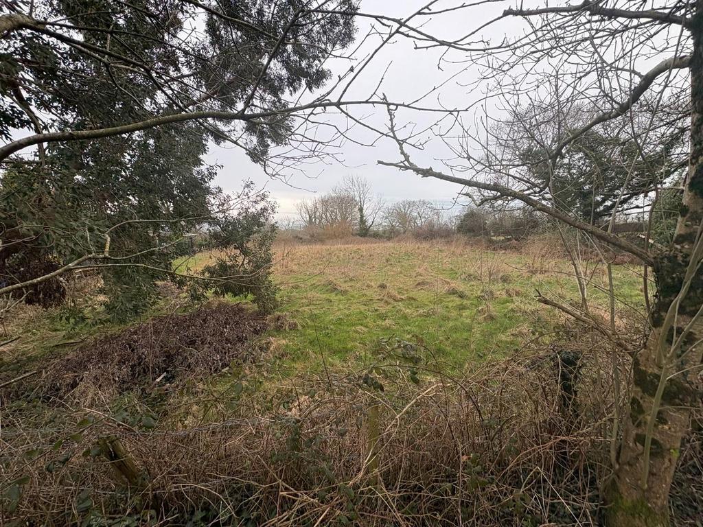 Field.JPEG