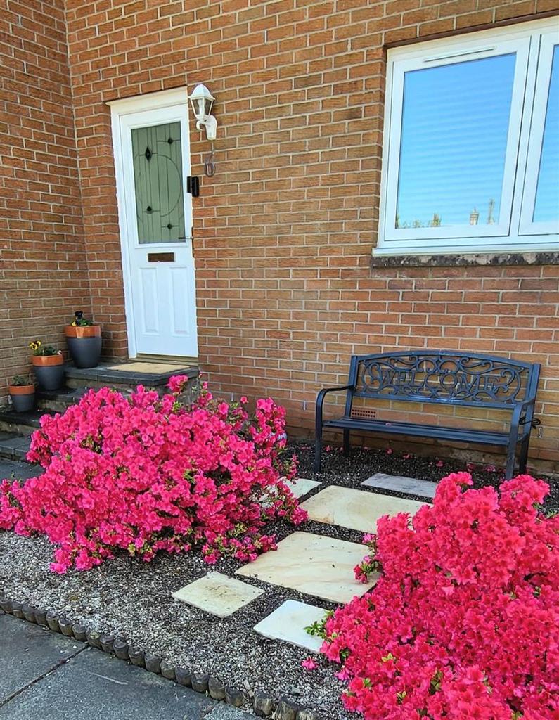 PHOTO 2.jpg