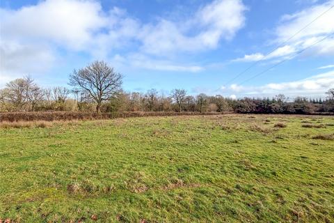 undefined, Petrockstow, Devon EX20