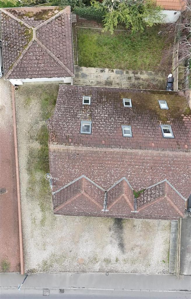 Plot View