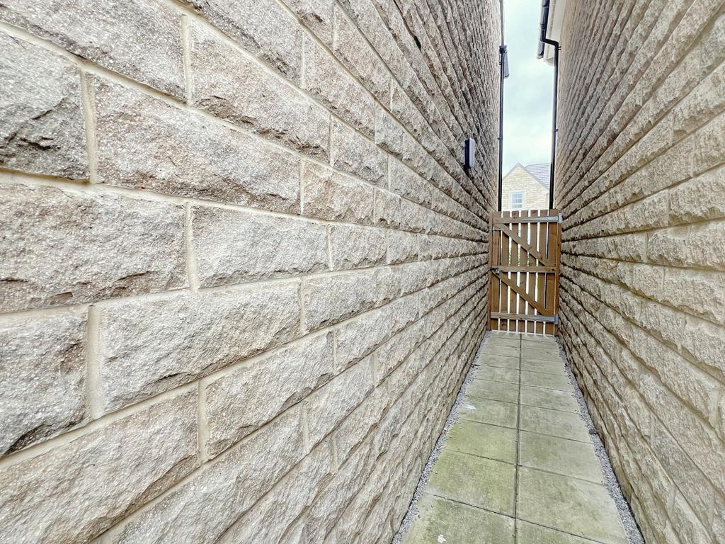 Picture 23